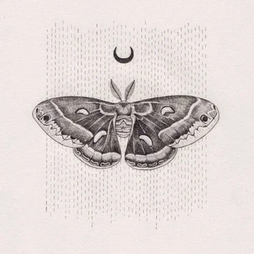 Moth by Vinny - album cover