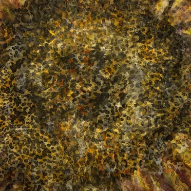 Sunflowers Vol I by Various Artists - album cover