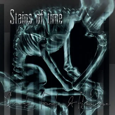 Charts, Facts & Figures by Stains of Time - album cover