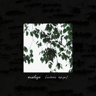 Листочки березы by МИНВОДЫ - album cover