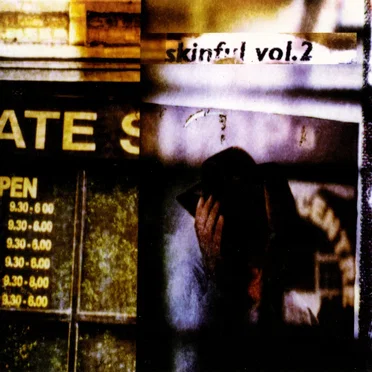 Skinful, Volume 2: A Second Skin Compilation by Various Artists - album cover
