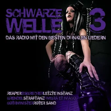 Schwarze Welle 3 by Various Artists - album cover