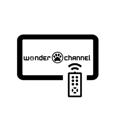 wonder channel〜debut edition〜