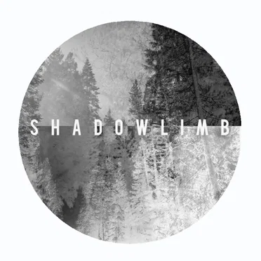 Shadow Limb