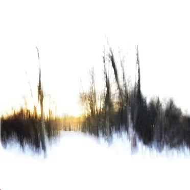 There Will Be No Miracles Here by Frontier(s) - album cover
