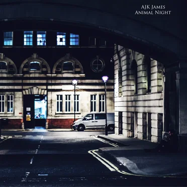 Animal Night by AJK James - album cover