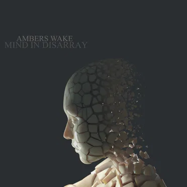 Mind in Disarray
