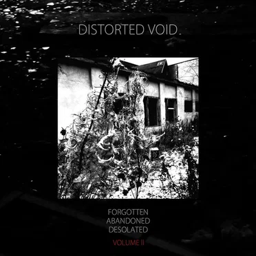 Forgotten, Abandoned, Desolated, Volume 2 by Various Artists - album cover