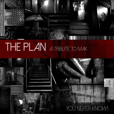 The Plan: You Never Know by Various Artists - album cover