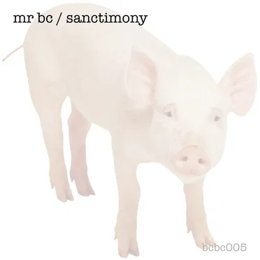 Sanctimony