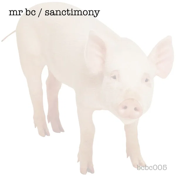 Sanctimony