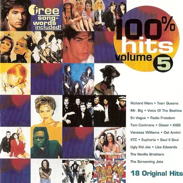 100% Hits, Volume 5 by Various Artists - album cover