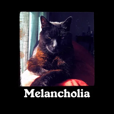Melancholia by A Kid Called Purple - album cover