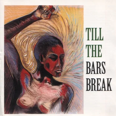 Till the Bars Break by Various Artists - album cover