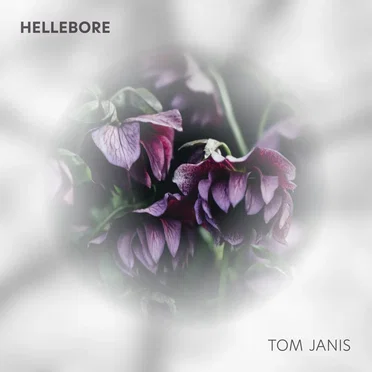Hellebore by Tom Janis - album cover