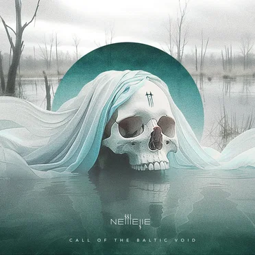 Call of the Baltic Void