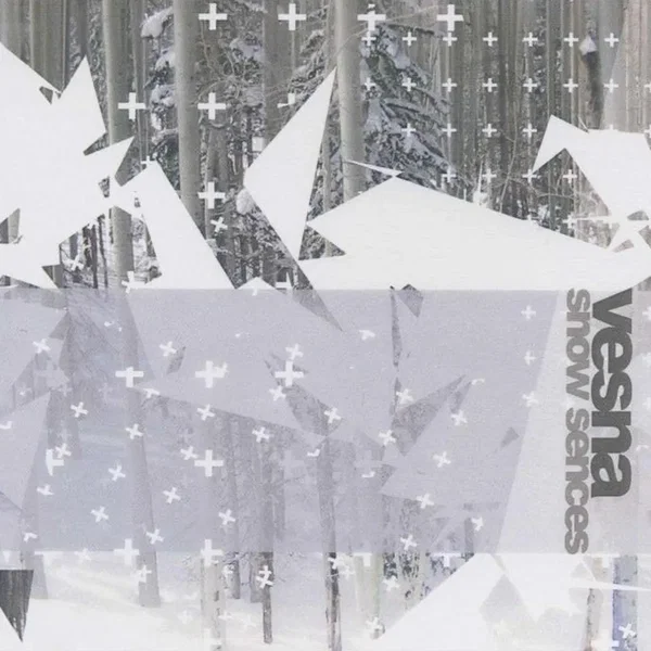 Snow Sences