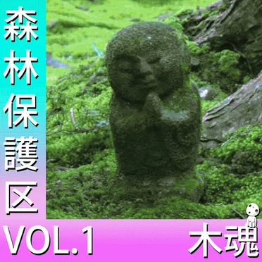 森林保護区 VOL.1 by 木魂 - album cover