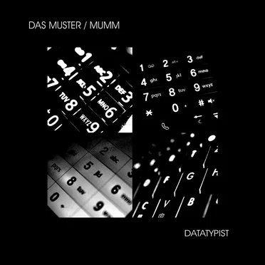 Datatypist by Das Muster - album cover