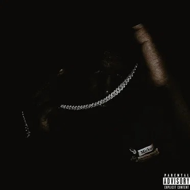 Revenge of the Dreamer by Bkchapo - album cover