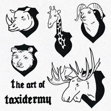 The Art Of Taxidermy