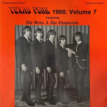 Texas Punk, 1966: Vol. 7 - Featuring The Briks & The Chaparrals