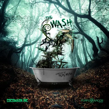 The Wash by Various Artists - album cover