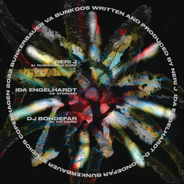 BunkerBauer 005 by Various Artists - album cover