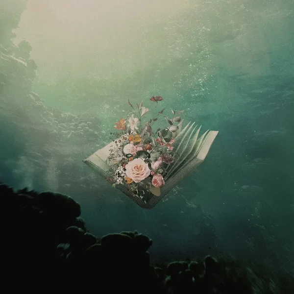 Urban Flora: Lost Sequels