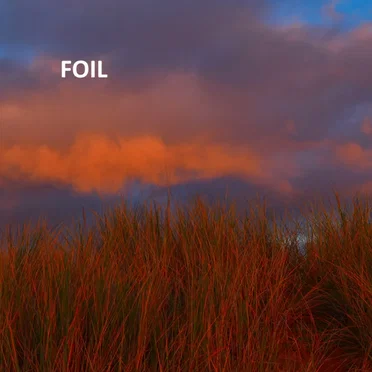 Foil