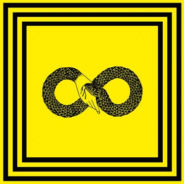 Infinity Forms of Yellow Remember by Infinity Forms of Yellow Remember - album cover