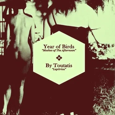 Meshes of the Afternoon by Year of Birds - album cover