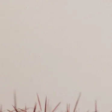 [no]objects