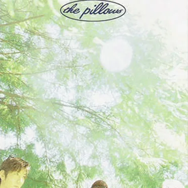 DAYDREAM WONDER
