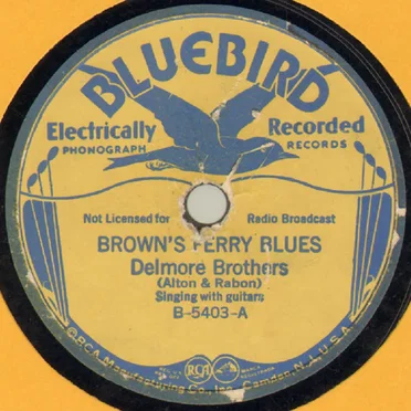 Brown's Ferry Blues / A New Salty Dog