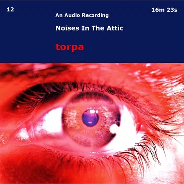 Noises In The Attic