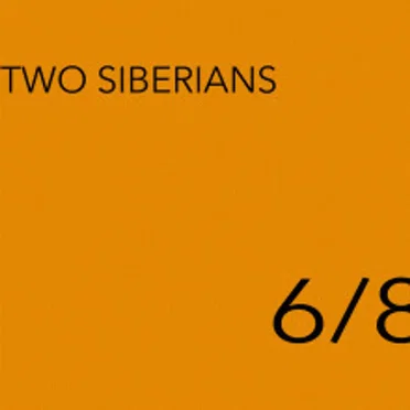 6/8