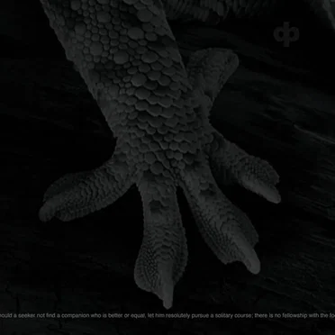 Should a Seeker Not Find a Companion Who Is Better or Equal, Let Him Resolutely Pursue a Solitary Course; There Is No Fellowship With the Fool / Cicada Trance