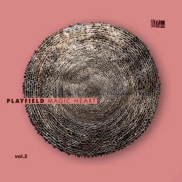 Magic Heart, Vol.2 by Playfield - album cover