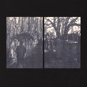 gaps in the fence...i can see through by Novely - album cover