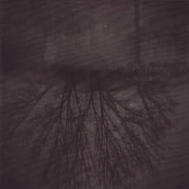 Namyamka