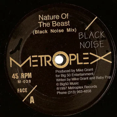 Black Noise