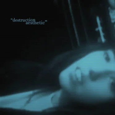 Destruction Aesthetic (single version)