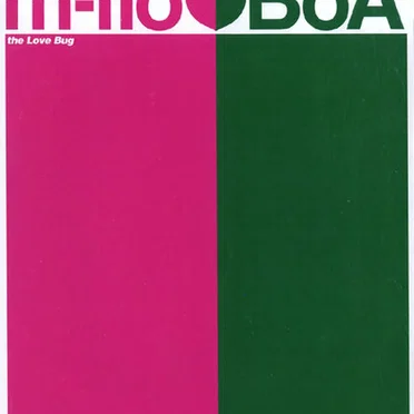 the Love Bug