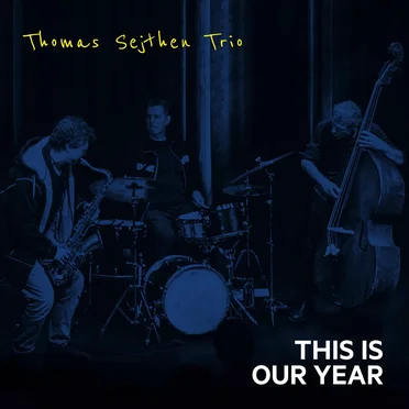 This Is Our Year by Thomas Sejthen Trio - album cover
