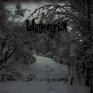 Der Schwere Weg by Wintergeist - album cover