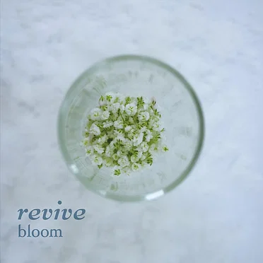 revive