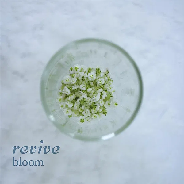 revive