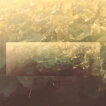 Refract