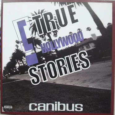 C True Hollywood Stories